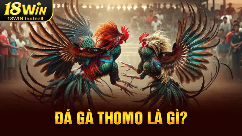 đá gà thomo